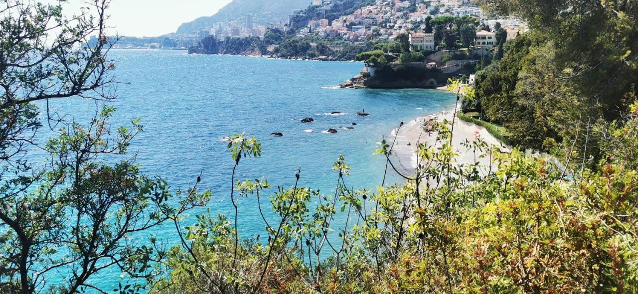Vue Magnifique, Piscine Privee Chauffee Et Sauna A 10Min De Monaco Roquebrune-Cap-Martin Eksteriør billede